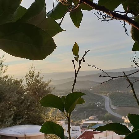 Mirador Del Olivar Olvera Zewnętrze zdjęcie