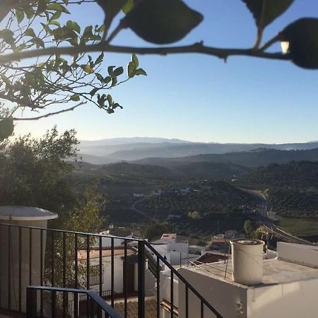 Mirador Del Olivar Olvera Zewnętrze zdjęcie