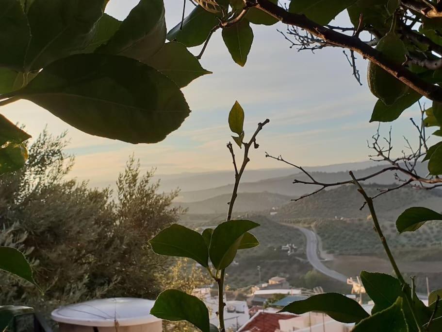 Mirador Del Olivar Olvera Zewnętrze zdjęcie