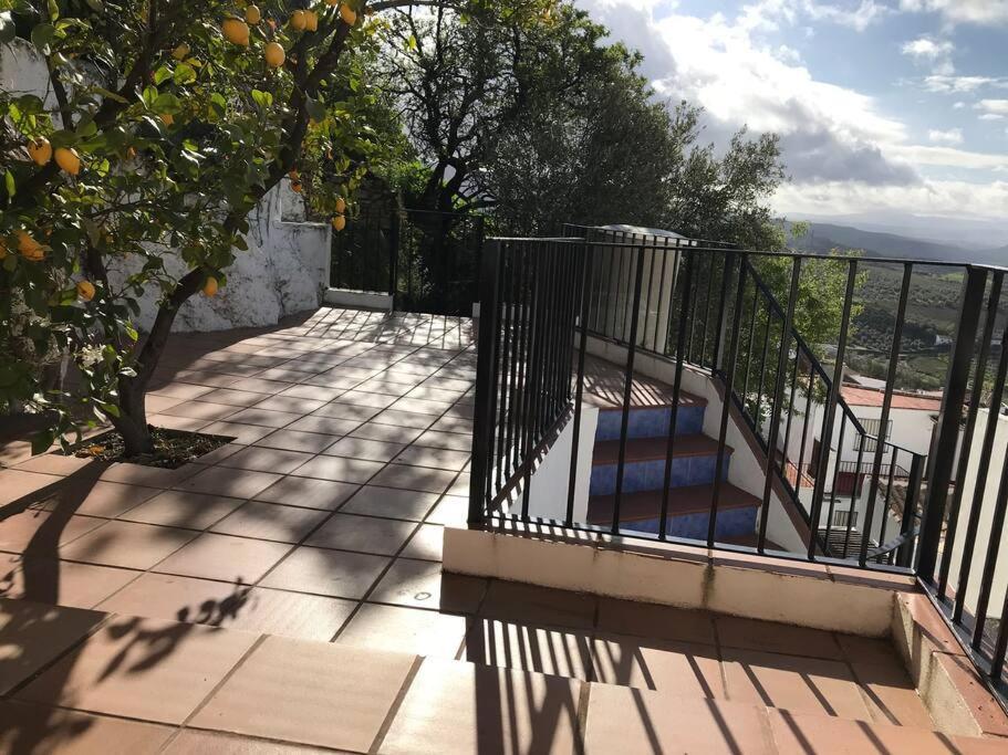 Mirador Del Olivar Olvera Zewnętrze zdjęcie
